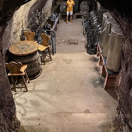 Vinny Sklipek U Novaku Vrbovec