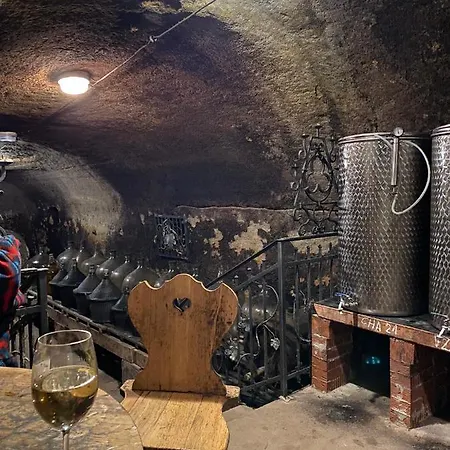 Vinny Sklipek U Novaku *